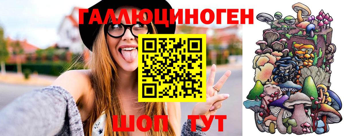 Псилоцибиновые грибы MAGIC MUSHROOMS  Вход с VPN  где найти наркотики  Красноармейск 