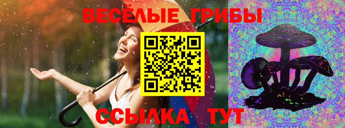 Галлюциногенные грибы Magic Shrooms Красноармейск